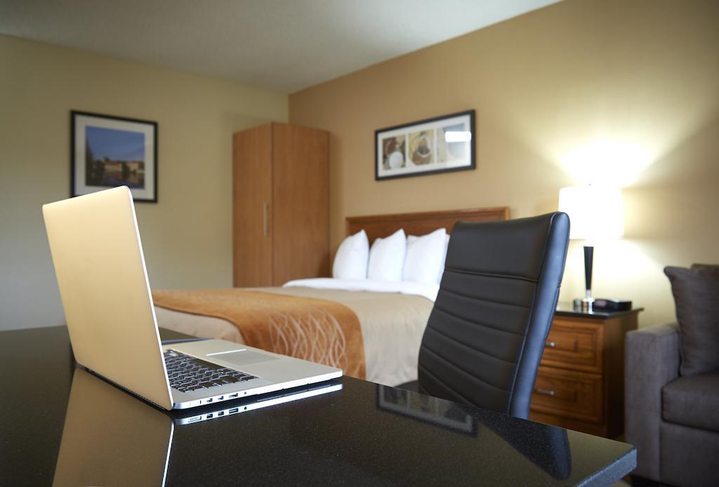 Comfort Inn Гамильтон Экстерьер фото